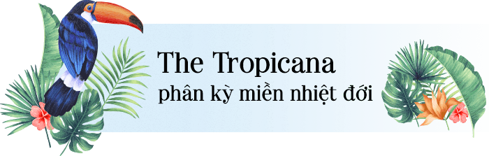 The Tropicana Hồ Tràm