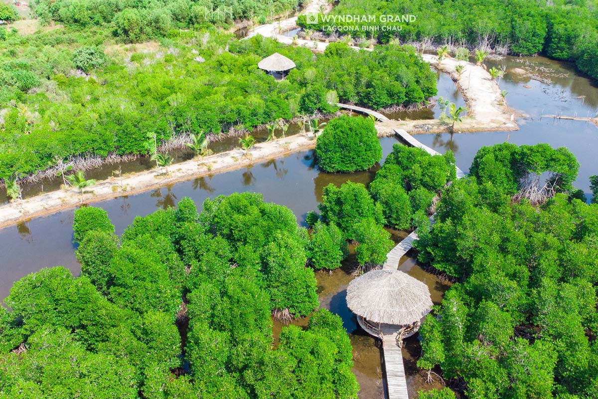Rừng đước Wyndham Grand Lagoona Binh Chau