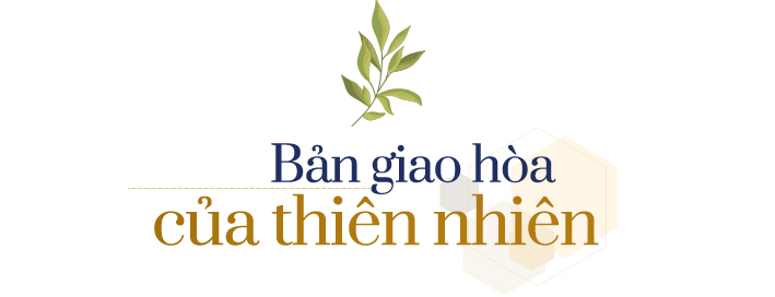 Hệ sinh thái tự nhiên bao quanh Lagoona Bình Châu