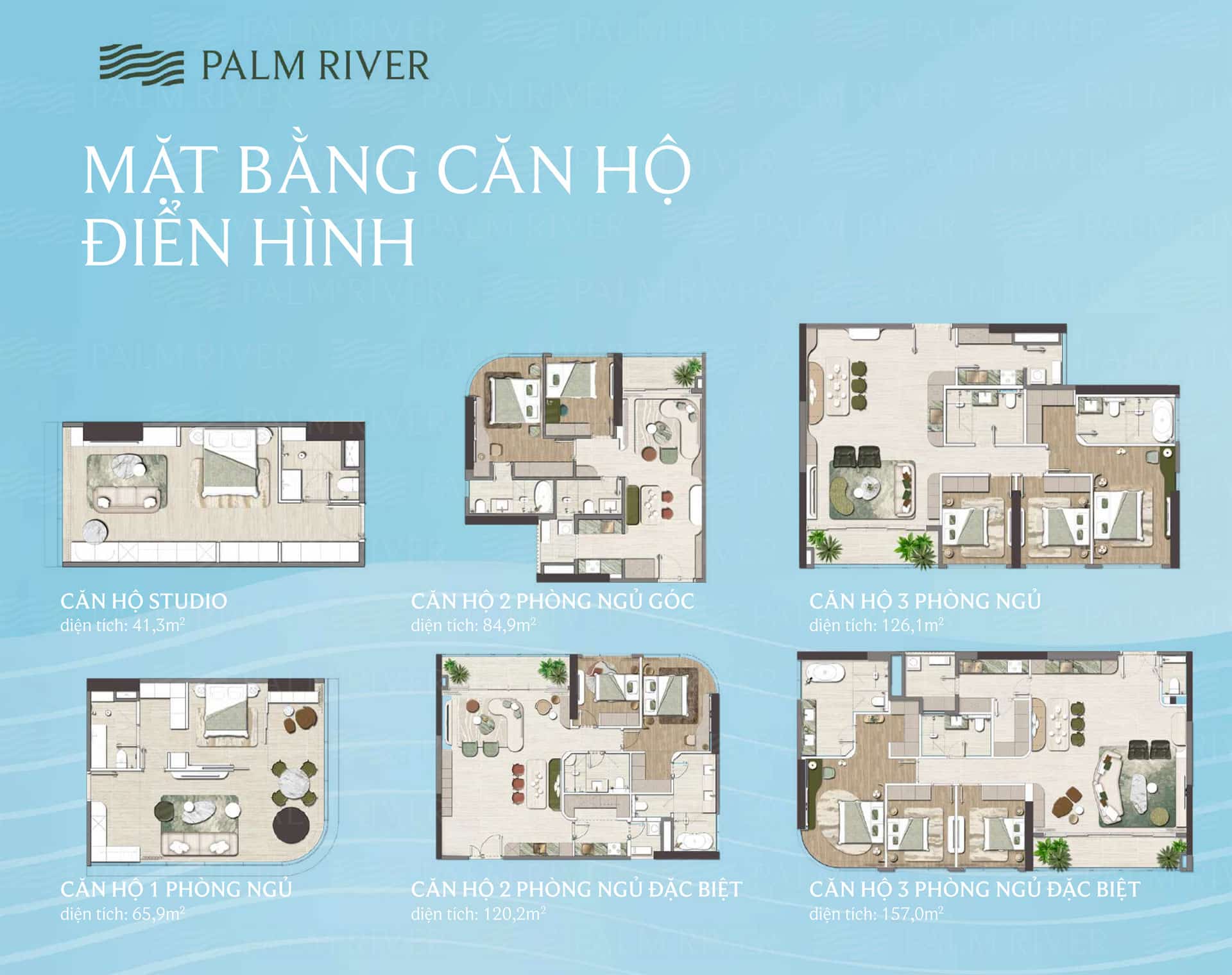 Mặt bằng dự án Palm River