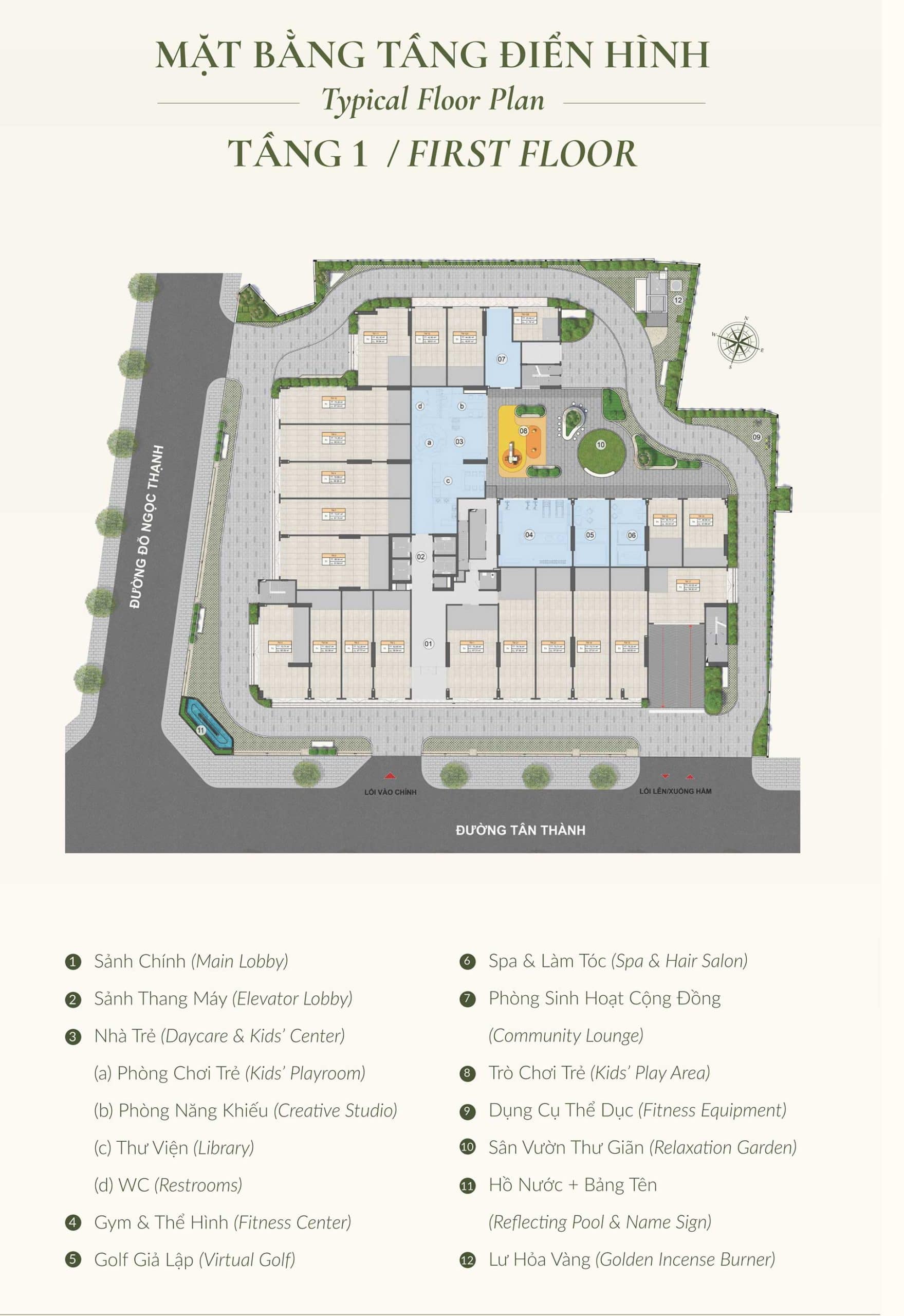Mặt bằng Layout căn hộ Legacy 66 Tân Thành Chợ Lớn